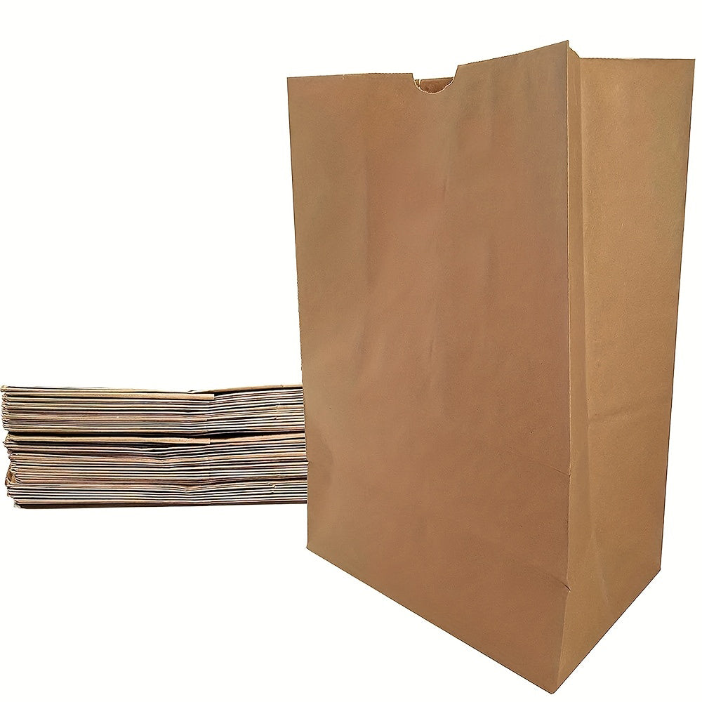 Kraft Paper Bags – Small & Large, Eco-Friendly, Customizable for Retail & Promotional Use