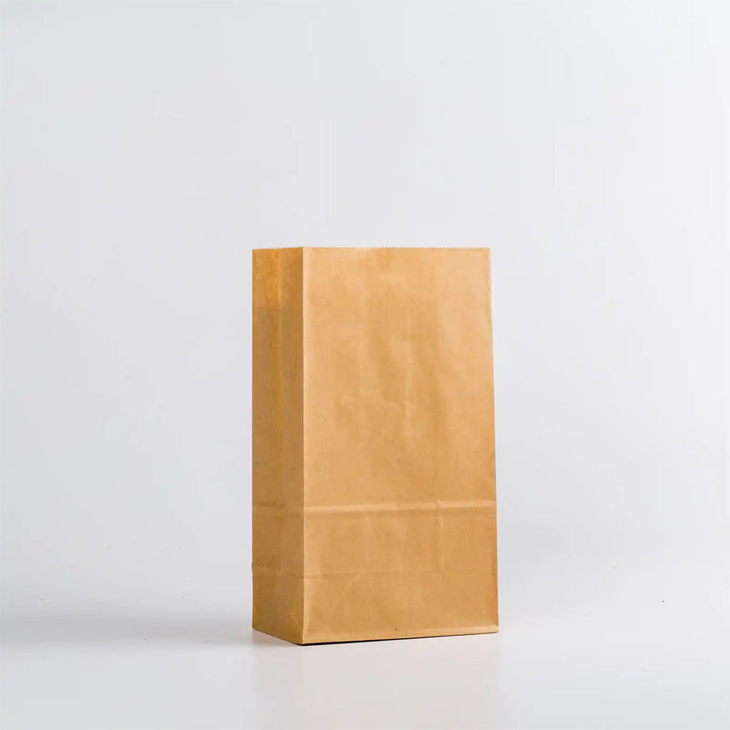 Kraft Paper Bags – Small & Large, Eco-Friendly, Customizable for Retail & Promotional Use