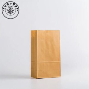 Kraft Paper Shopping Bags